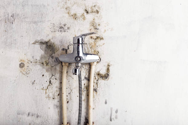 Best Black Mold Remediation in Fort Rucker, AL