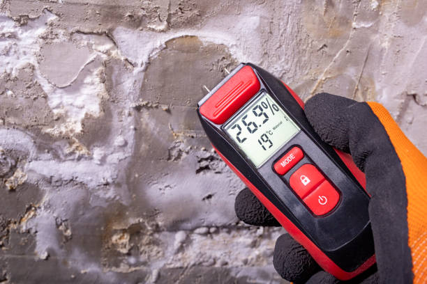 Best Health and Safety Mold Remediation in Fort Rucker, AL