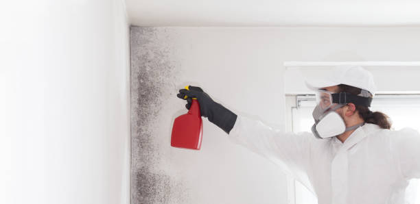 Best Bathroom Mold Remediation in Fort Rucker, AL