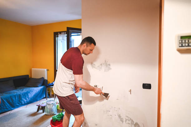 Best HVAC Mold Remediation in Fort Rucker, AL